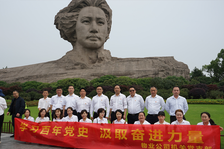 學(xué)習(xí)百年黨史，汲取奮進(jìn)力量